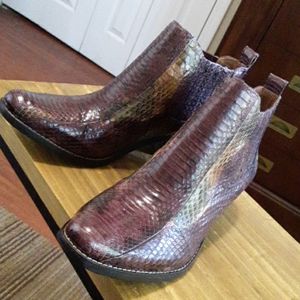 New Vince Camuto Snakeskin booties